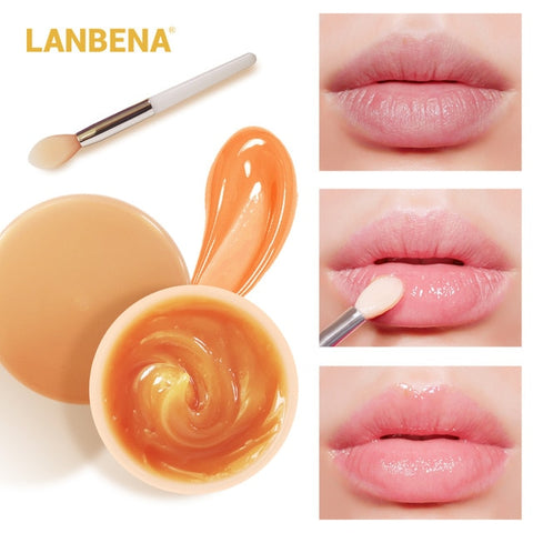 LANBENA Lip Plumper Mask Moisturizing Rose Pink Orange Oil Lighten Lines Brown Sugar Scrub Nourish Night Sleep Maintenance Cream