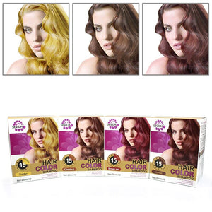 4 Colors Hair Color Shampoo Pure Plants Naturally Non-irritating Dyed Shampoo Hair Coloring Product